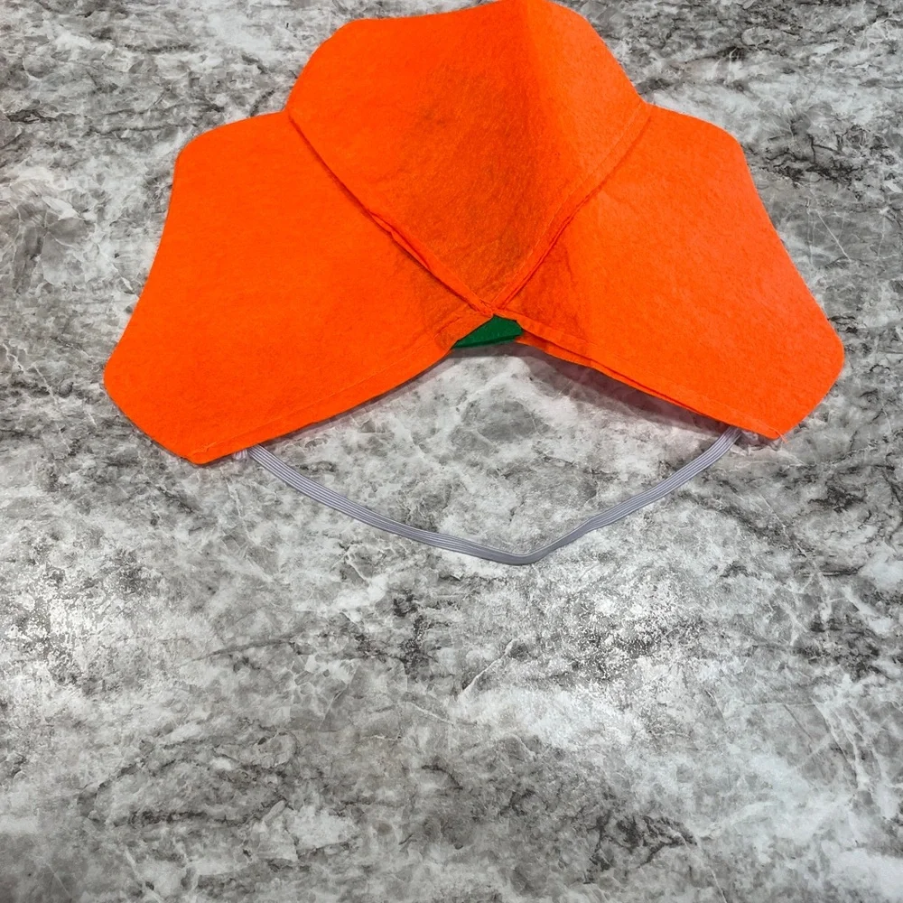Kids Jack o Lantern Costume